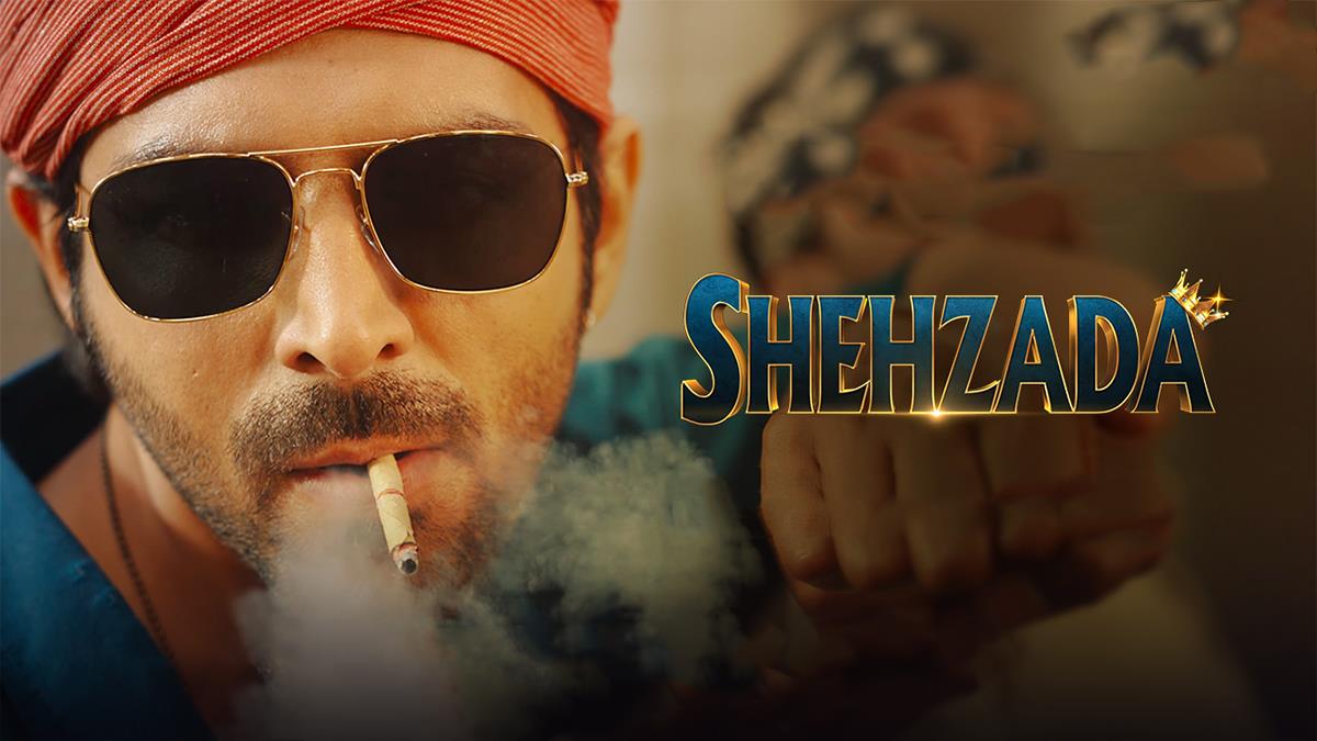 Shehzada movie